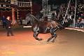 IMG_7240 aa